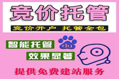 某公司通过百度竞价代理实现业绩翻倍的案例